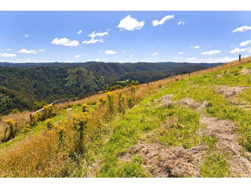 255 Busty Road, Apollo Bay VIC 3233