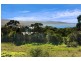 18 Ferrier Drive, Marengo VIC 3233