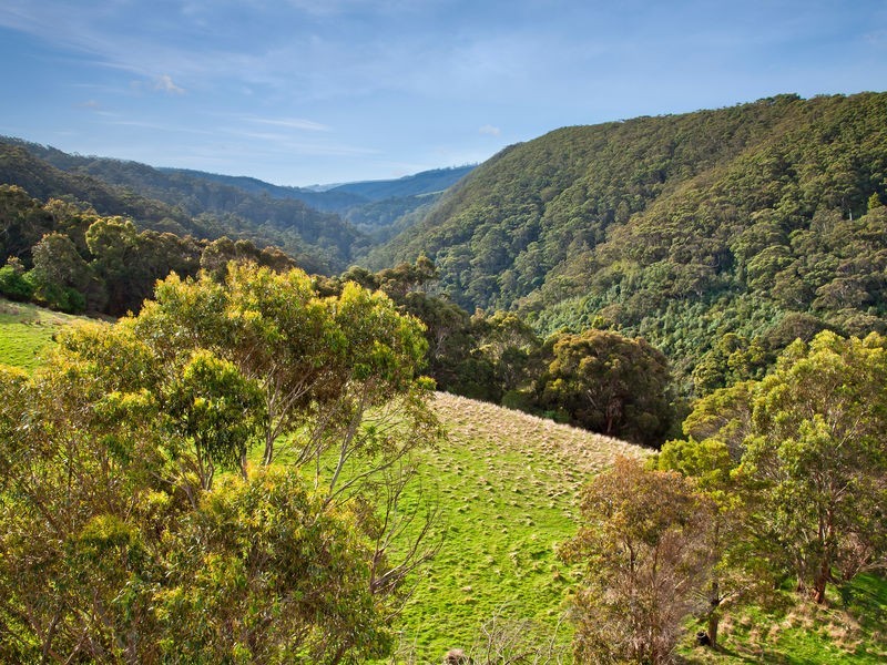 23B & 23E/100 Leorkes Access (Wongarra), Apollo Bay VIC 3233