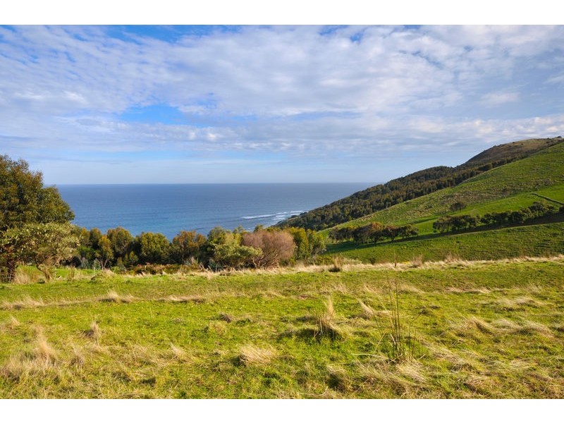 23B & 23E/100 Leorkes Access (Wongarra), Apollo Bay VIC 3233