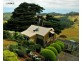 355 Killala Road, Apollo Bay VIC 3233