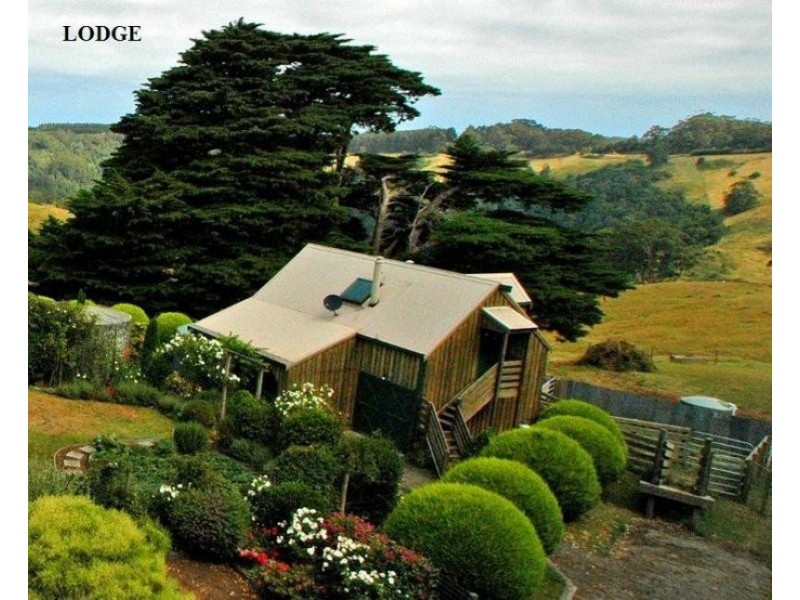 355 Killala Road, Apollo Bay VIC 3233