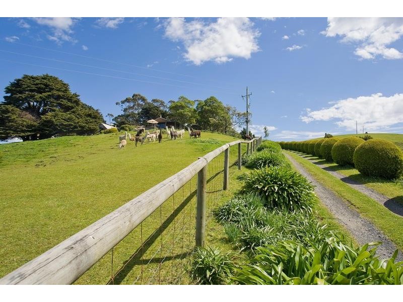 355 Killala Road, Apollo Bay VIC 3233