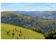 355 Killala Road, Apollo Bay VIC 3233
