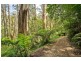 935 Barham River Road, Apollo Bay VIC 3233