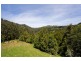 935 Barham River Road, Apollo Bay VIC 3233