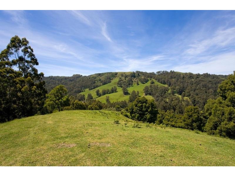 935 Barham River Road, Apollo Bay VIC 3233