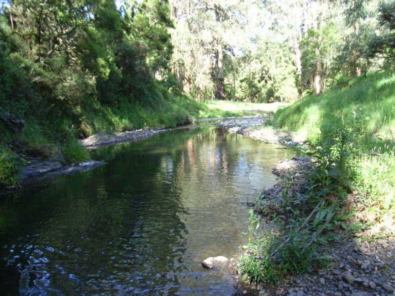 935 Barham River Road, Apollo Bay VIC 3233