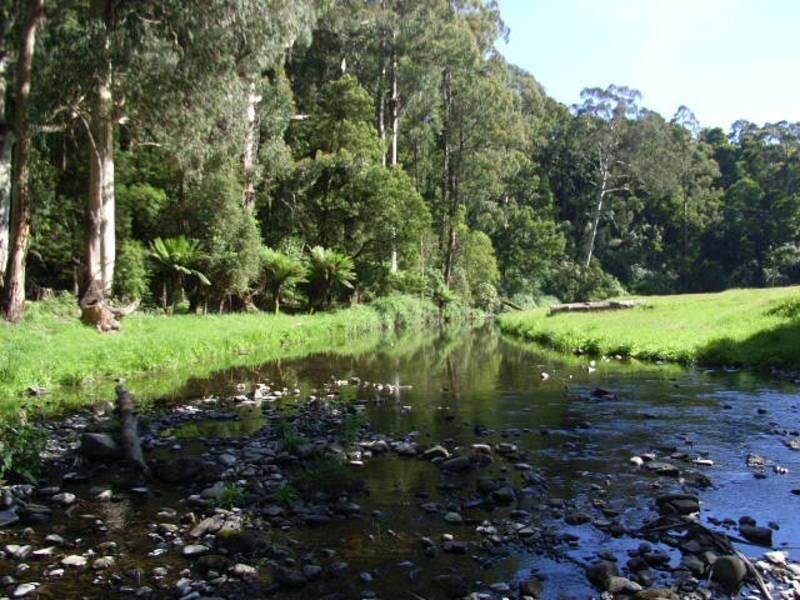 935 Barham River Road, Apollo Bay VIC 3233