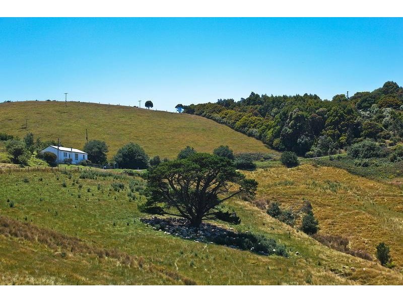 325 Tuxion Road, Apollo Bay VIC 3233