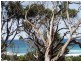 10 Treetops Terrace, Skenes Creek VIC 3233