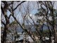 10 Treetops Terrace, Skenes Creek VIC 3233