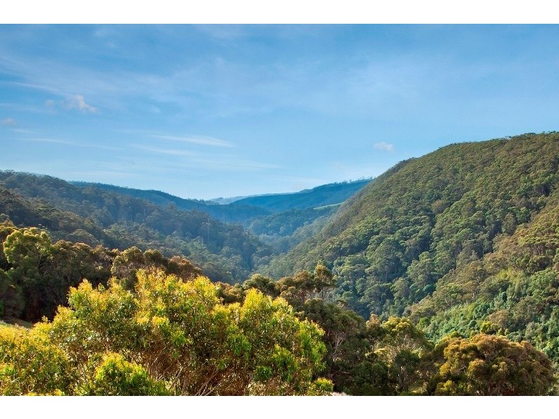 23B & 23E, 100 Leorkes Access (Wongarra), Apollo Bay VIC 3233