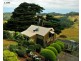 355 Killala Road, Apollo Bay VIC 3233