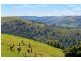 355 Killala Road, Apollo Bay VIC 3233