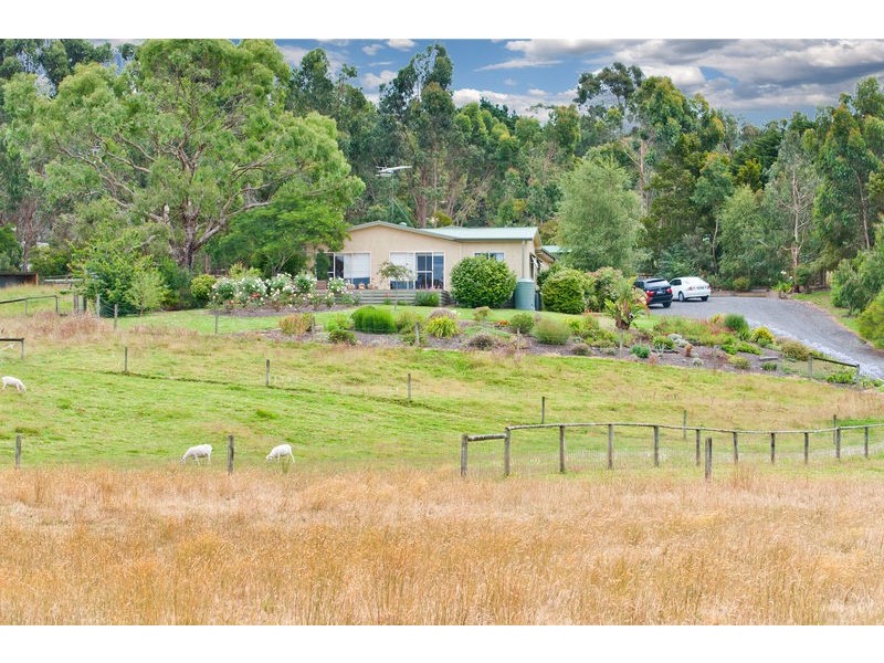 303 Barham River Road, Apollo Bay VIC 3233