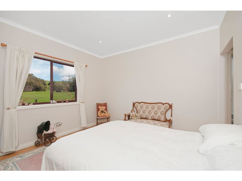 303 Barham River Road, Apollo Bay VIC 3233