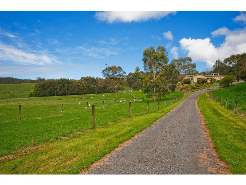 303 Barham River Road, Apollo Bay VIC 3233