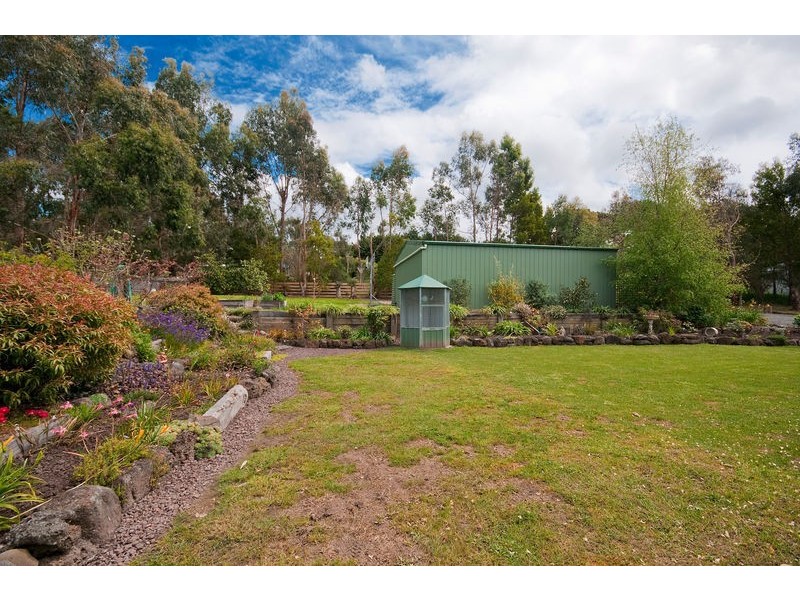 303 Barham River Road, Apollo Bay VIC 3233