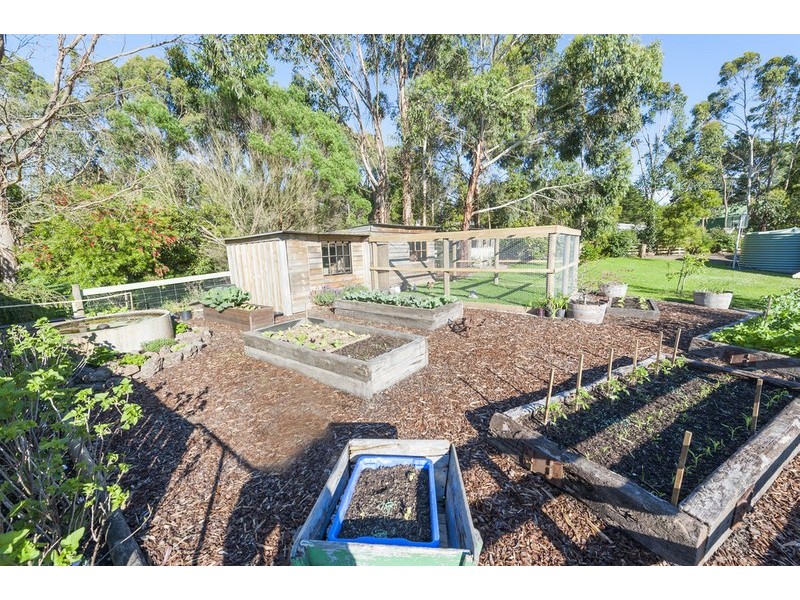 303 Barham River Road, Apollo Bay VIC 3233