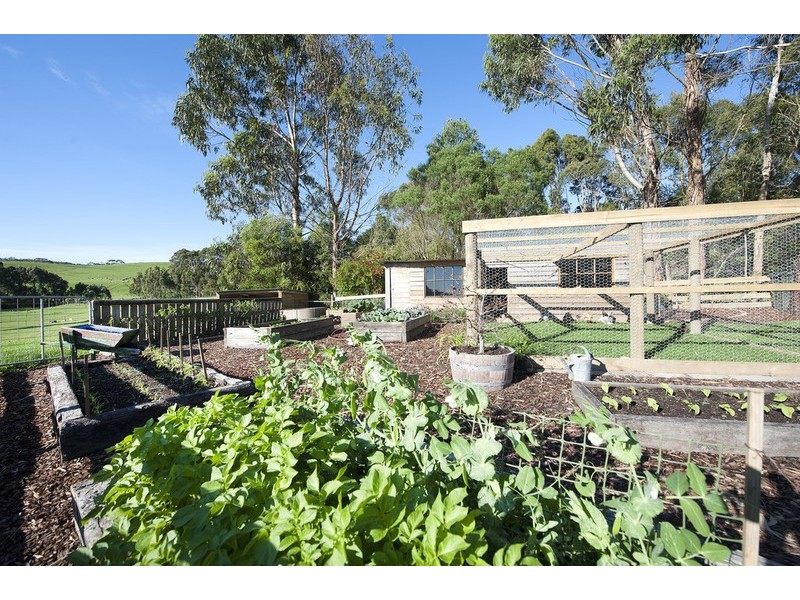 303 Barham River Road, Apollo Bay VIC 3233