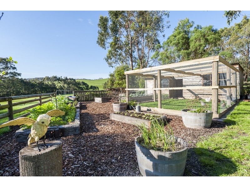 303 Barham River Road, Apollo Bay VIC 3233
