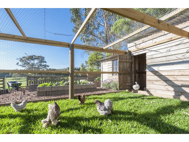 303 Barham River Road, Apollo Bay VIC 3233