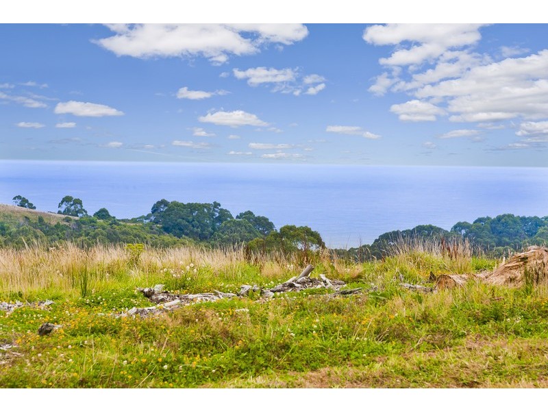 5655 Great Ocean Road, Yuulong VIC 3237