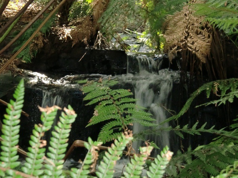 540 Skenes Creek Road, Apollo Bay VIC 3233