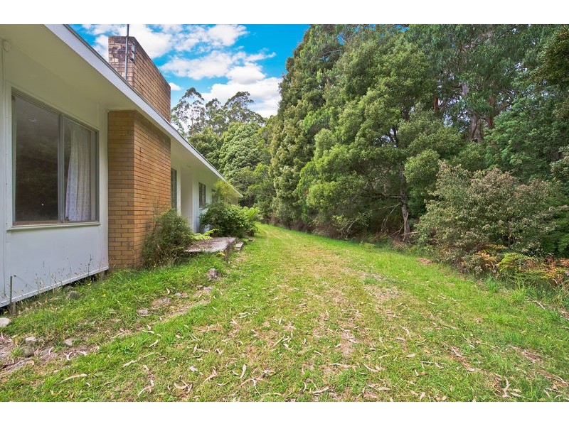 1060 Barham River Road, Apollo Bay VIC 3233
