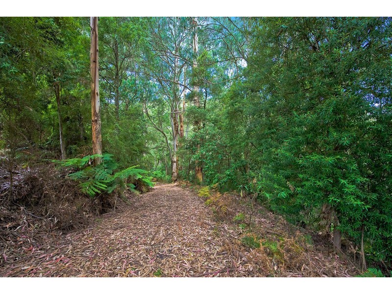 1060 Barham River Road, Apollo Bay VIC 3233