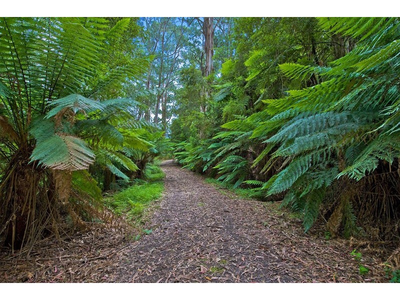 1060 Barham River Road, Apollo Bay VIC 3233