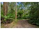 1060 Barham River Road, Apollo Bay VIC 3233
