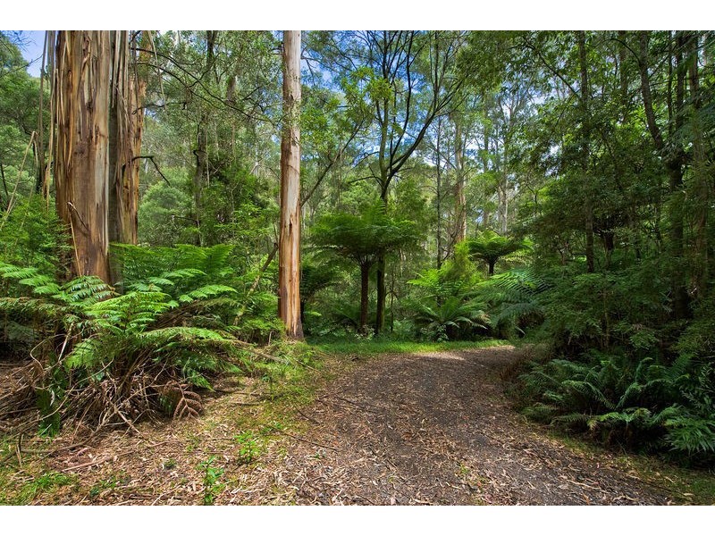 1060 Barham River Road, Apollo Bay VIC 3233