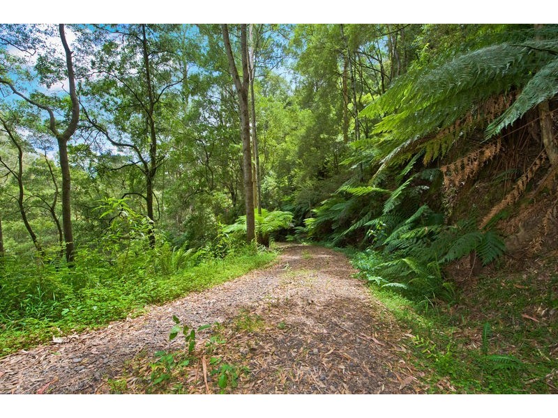 1060 Barham River Road, Apollo Bay VIC 3233