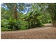 1060 Barham River Road, Apollo Bay VIC 3233