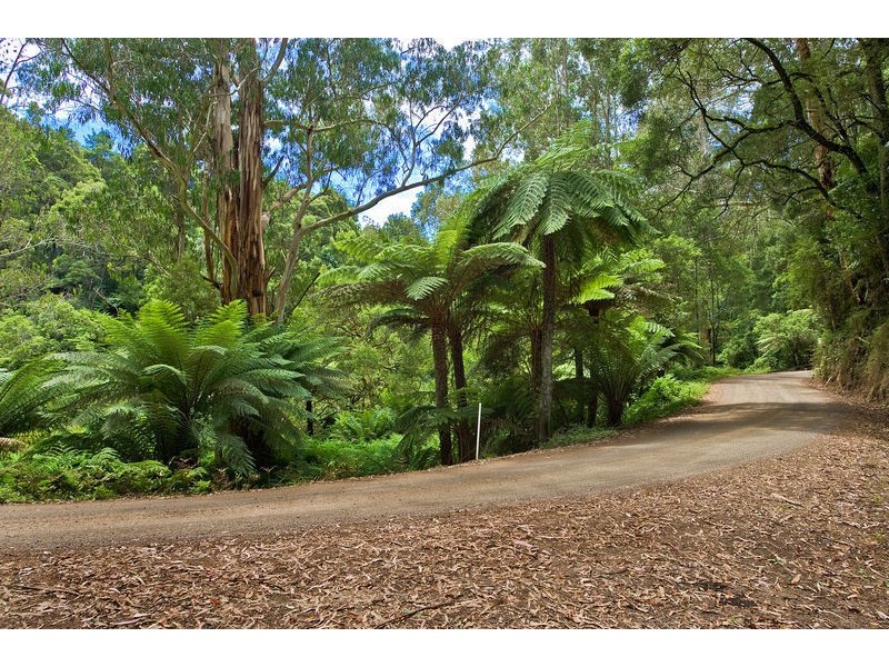 1060 Barham River Road, Apollo Bay VIC 3233
