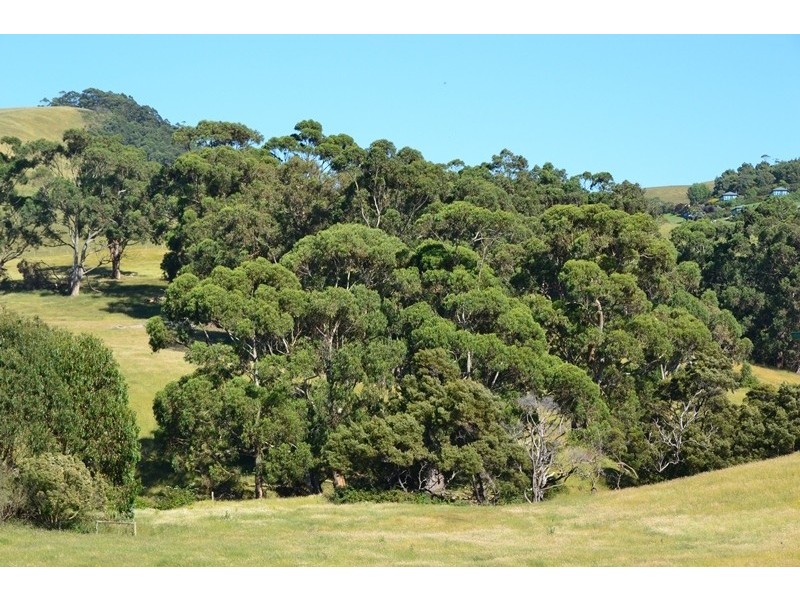 16 Park Avenue, Apollo Bay VIC 3233
