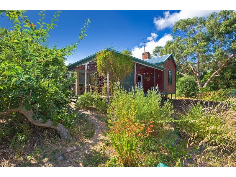 51 Grant Street, Forrest VIC 3236