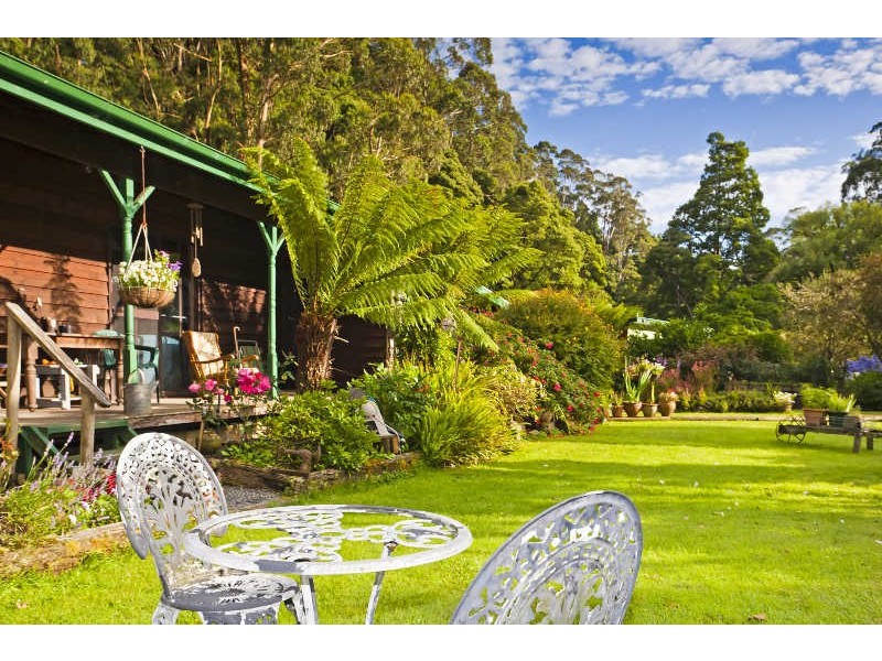 485  Wild Dog Road, Apollo Bay VIC 3233