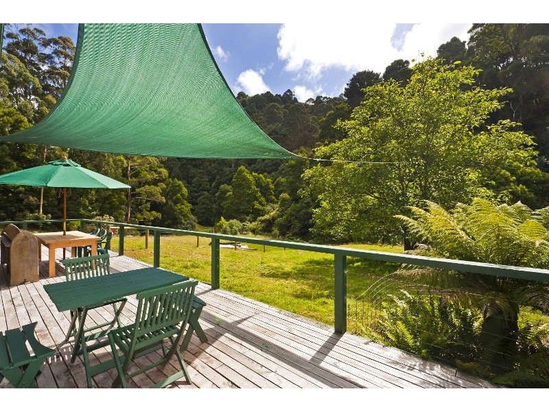 485  Wild Dog Road, Apollo Bay VIC 3233