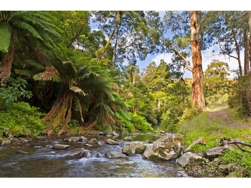485  Wild Dog Road, Apollo Bay VIC 3233