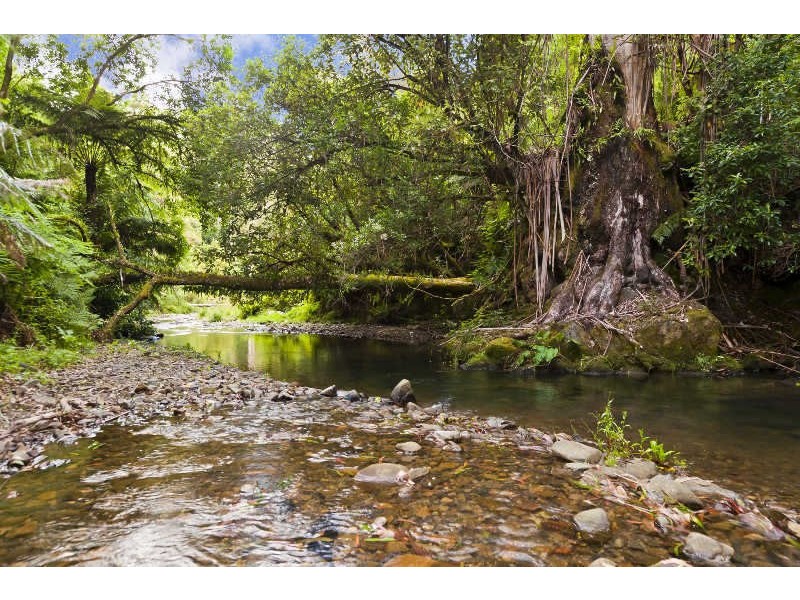 485  Wild Dog Road, Apollo Bay VIC 3233