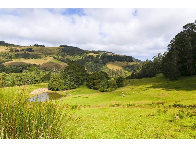 485  Wild Dog Road, Apollo Bay VIC 3233