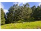 485  Wild Dog Road, Apollo Bay VIC 3233