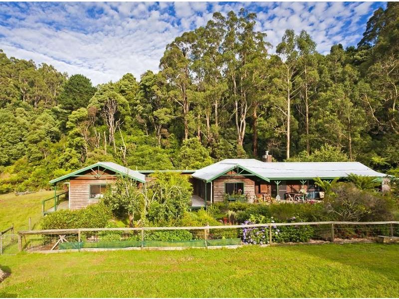 485 Wild Dog Road, Apollo Bay VIC 3233