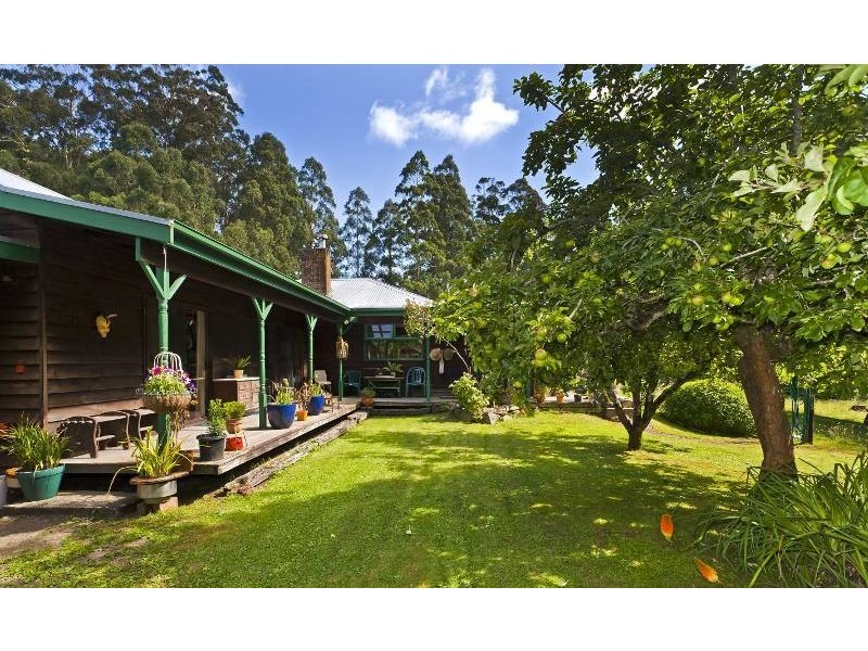 485 Wild Dog Road, Apollo Bay VIC 3233