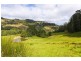 485 Wild Dog Road, Apollo Bay VIC 3233
