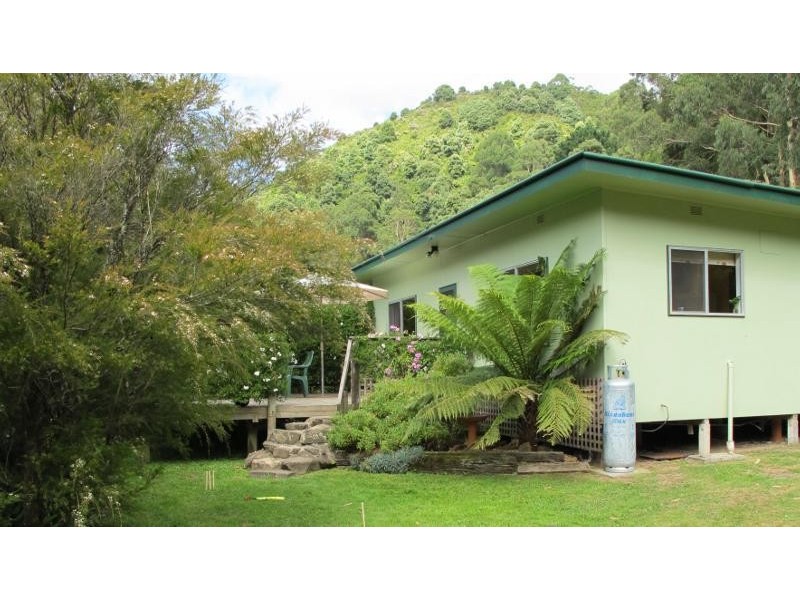 485 Wild Dog Road, Apollo Bay VIC 3233