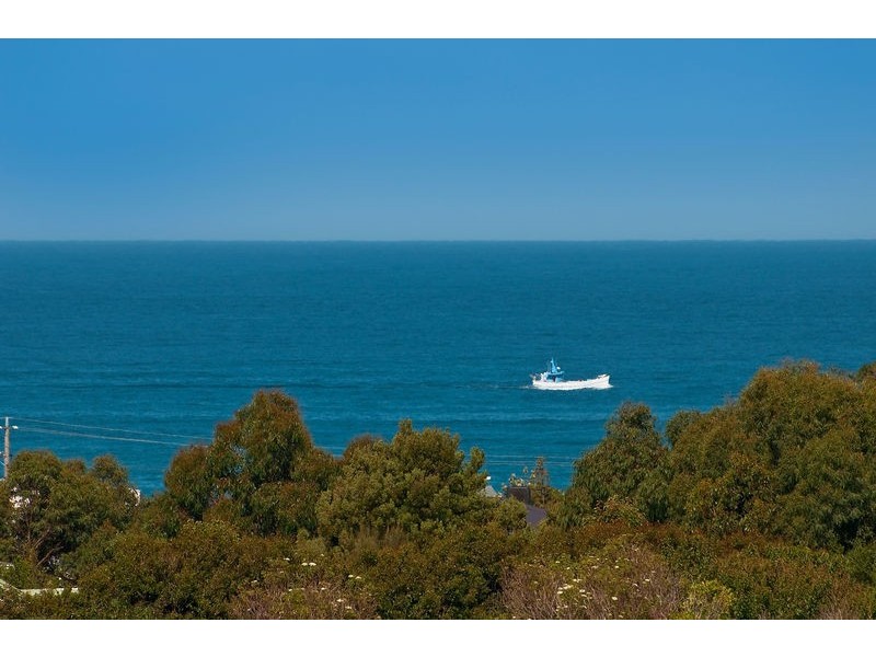 20 Seeberg Court, Apollo Bay VIC 3233